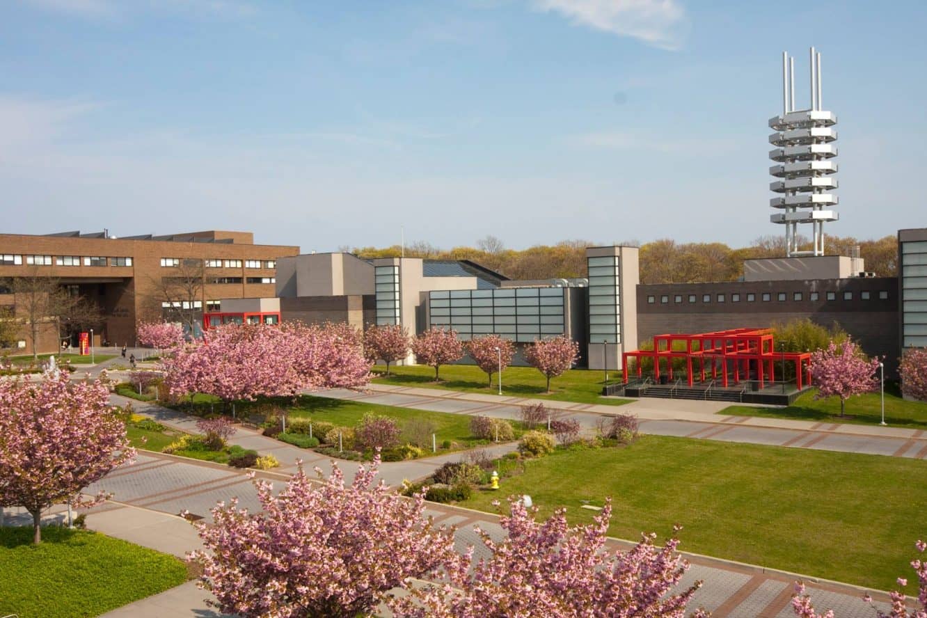 Stony Brook University, the State University of New York at Stony Brook